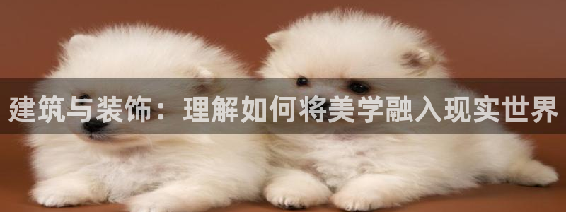 顺盈儿童娱乐：建筑与装饰：理解如何将美学融入现实世界