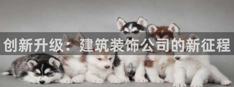 顺盈娱乐下载安装官方