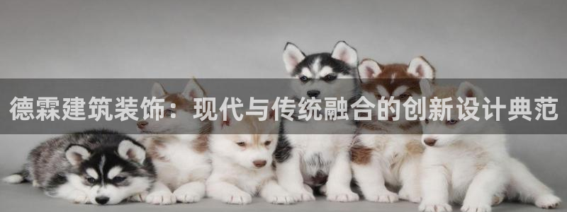 顺盈娱乐件究7276O