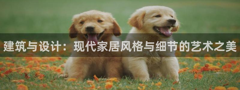 顺盈娱乐团购怎么样