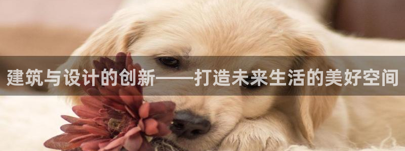 顺盈娱乐下载手机版