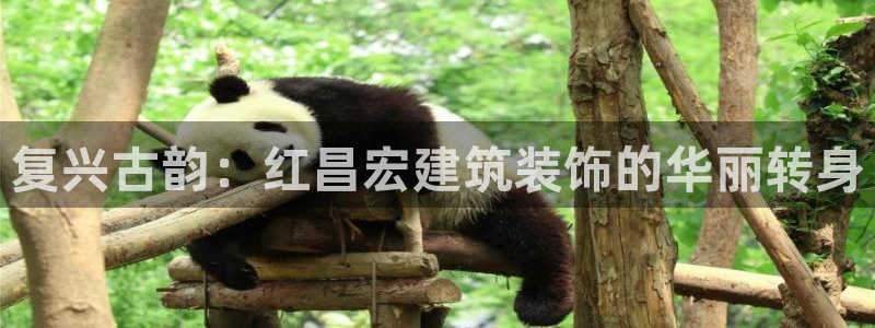 顺盈娱乐平台注册条件