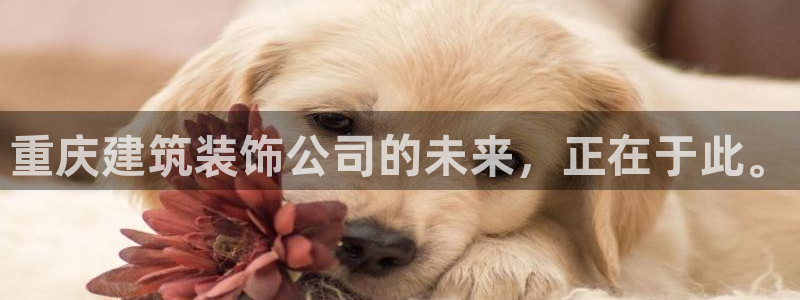 顺盈娱乐402201