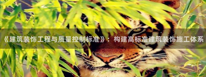 顺盈娱乐招商网判官333OO
