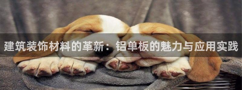 清远顺盈娱乐集团面试