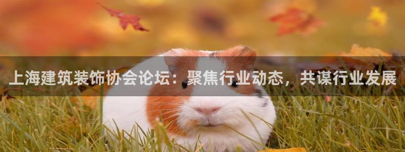 顺盈娱乐2