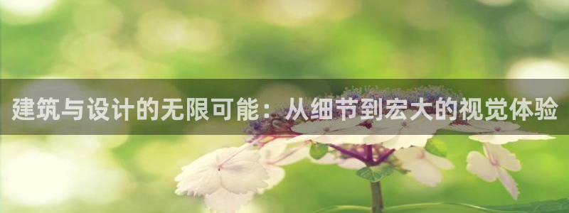 顺盈平台娱乐
