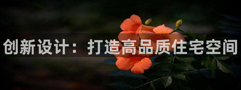 顺盈娱乐招商下原判官333OO