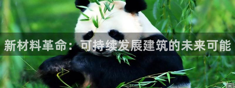 顺盈娱乐主管劳判官333OO