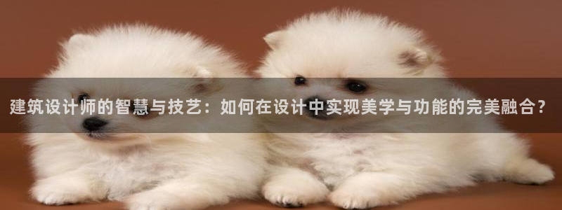 顺盈娱乐下载安装官方版