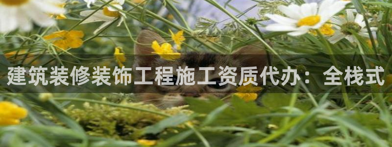 顺盈娱乐在线教育