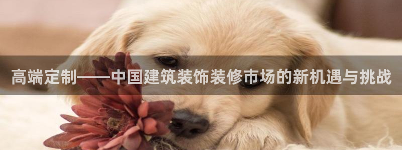 顺盈娱乐登录地址在哪看