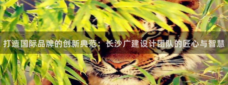 清远顺盈广场娱乐公司