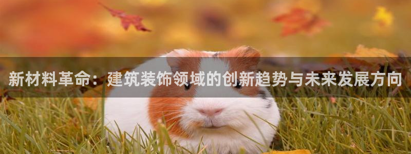 顺盈娱乐下载安装官方网