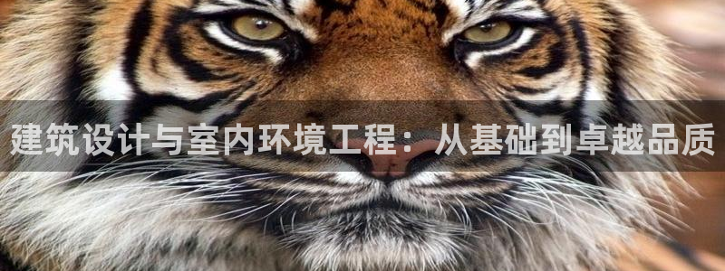 顺盈娱乐下载官网地址