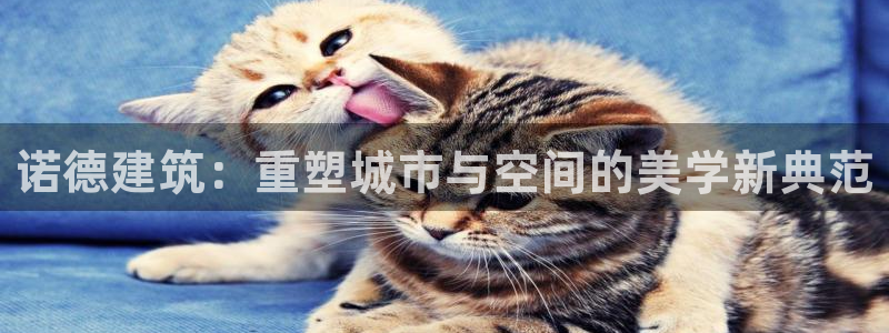 顺盈娱乐易7O777