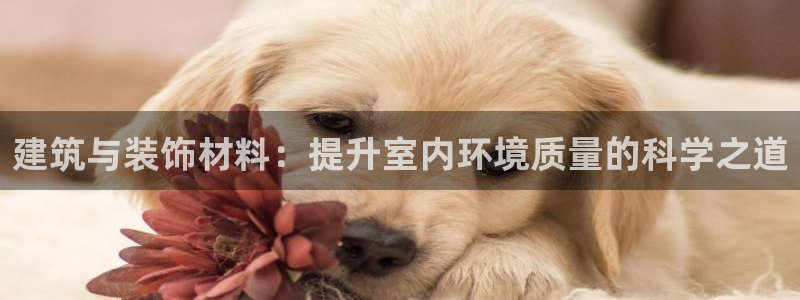 顺盈娱乐下载