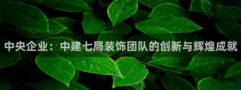 顺盈娱乐团购