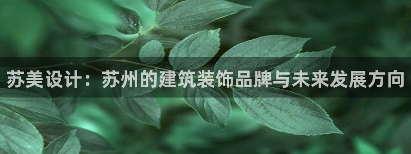 顺盈娱乐下载安装官方网