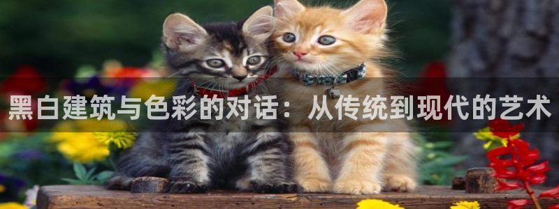顺盈2娱乐主管刘判官333OO