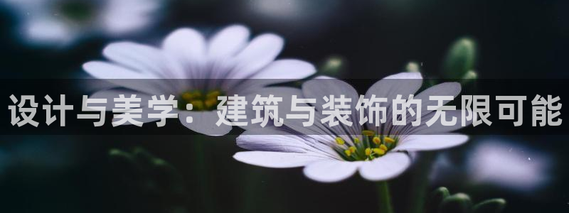 顺盈娱乐官网首页