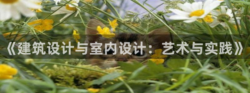 顺盈娱乐平台怎么样