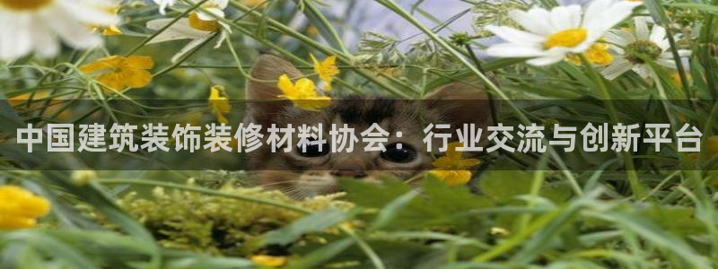 顺盈娱乐最高代理