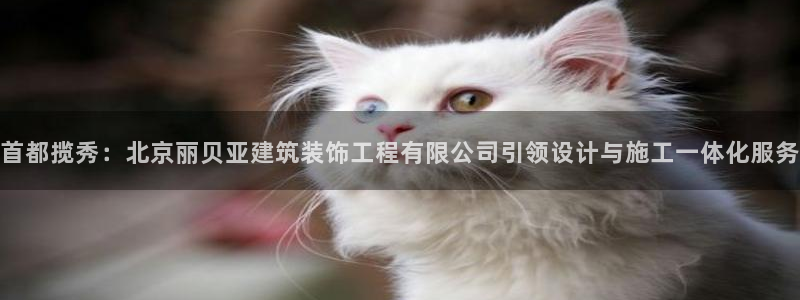 顺盈娱乐那家公司旗下