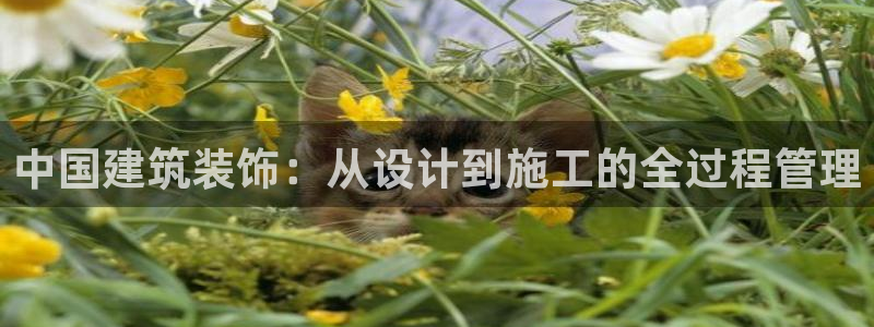 顺盈娱乐注册平台官网