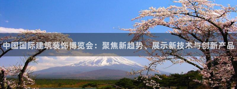 顺盈娱乐主管审判官333OO