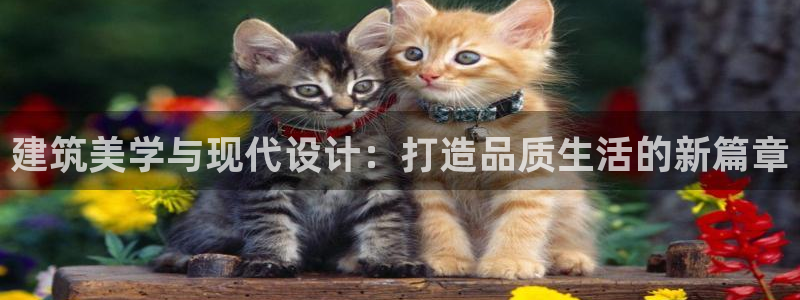 顺盈娱乐注册求判官333OO