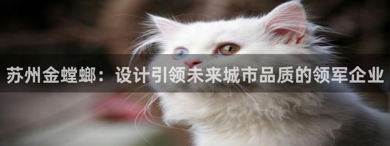 顺盈娱乐开户注册