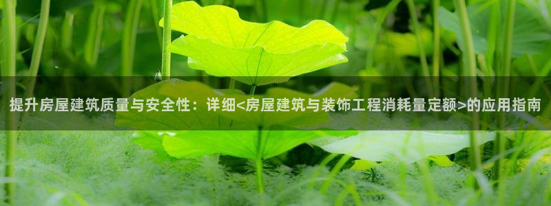 顺盈娱乐主管联天神779O3