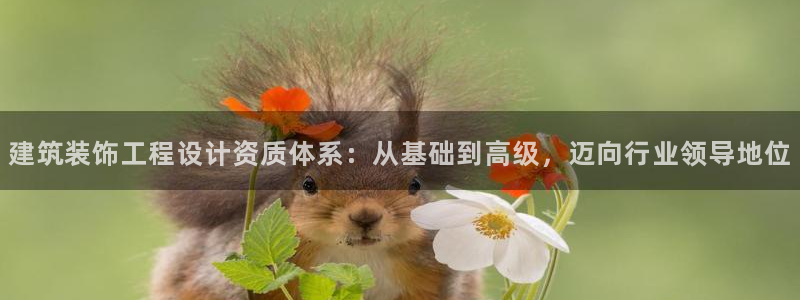 顺盈2娱乐主管啊判官333OO