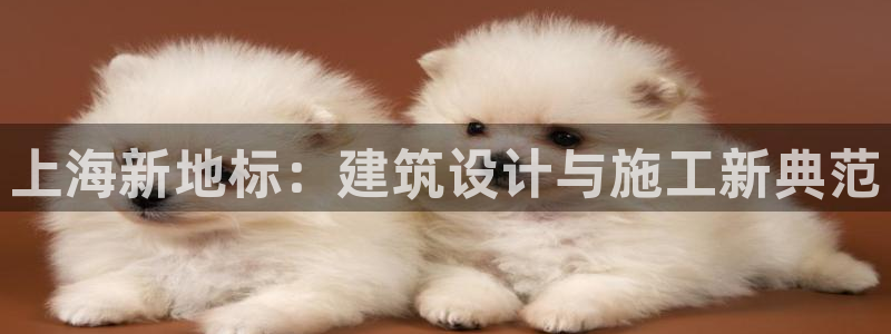 顺盈娱乐登录地址查询