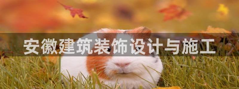 顺盈娱乐主管怎么样