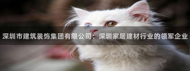 顺盈娱乐主管吉判官333OO