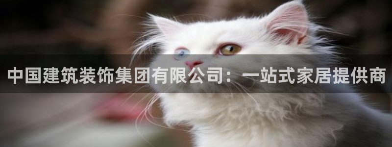 盈顺休闲娱乐室优惠活动