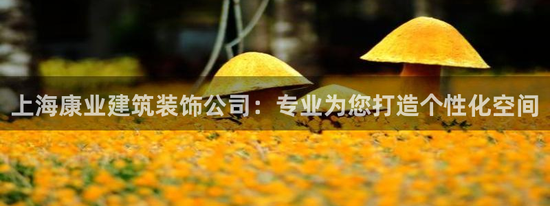 顺盈童欢娱乐有限公司