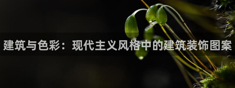 顺盈娱乐平台代理多少钱