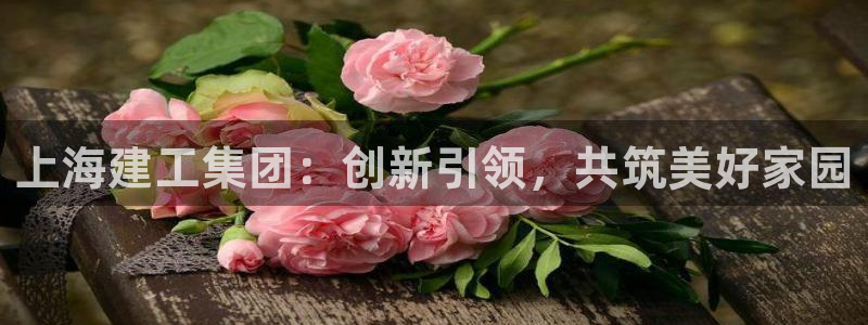 顺盈娱乐在线开户流程