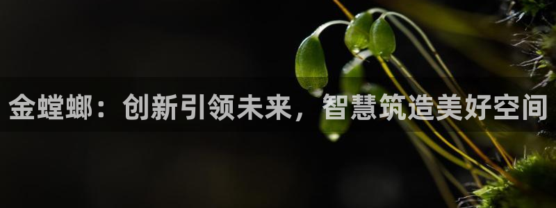 应县盈顺休闲娱乐室