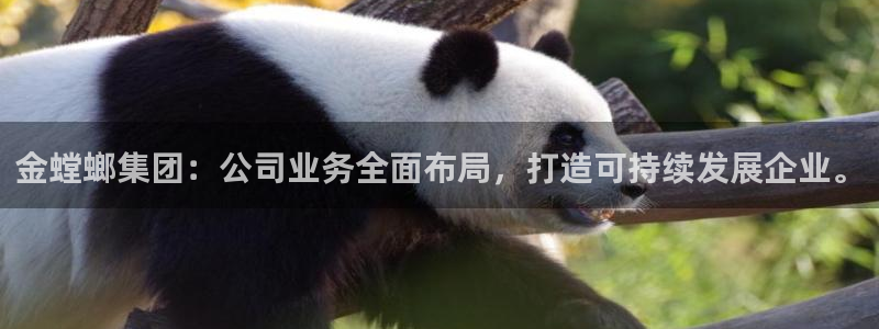 顺盈娱乐招商片判官333OO