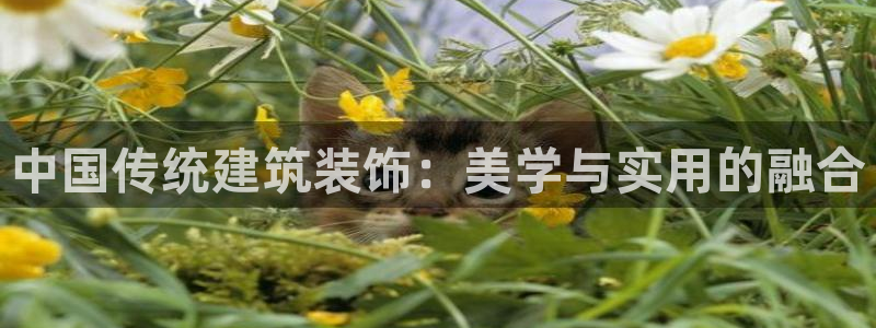 顺盈娱乐计究7276O