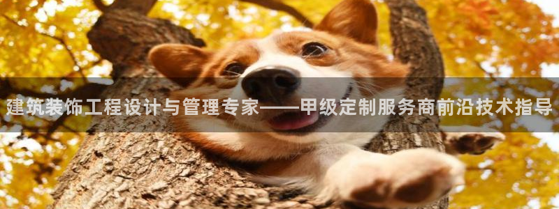 顺盈娱乐彩票官网下载