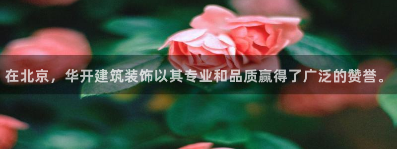 顺盈娱乐彩票官网