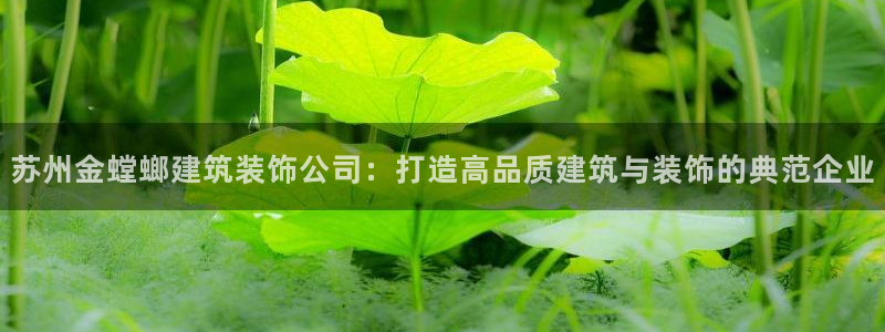 顺盈娱乐28是什么