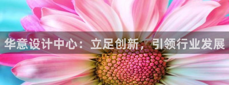 顺盈娱乐在线开户官网
