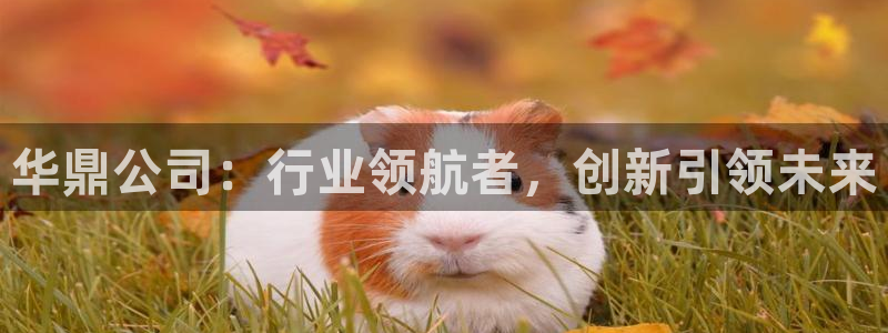 顺盈儿童娱乐