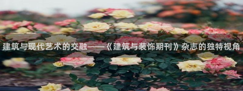 顺盈娱乐是什么意思